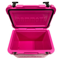 Small deals pink cooler